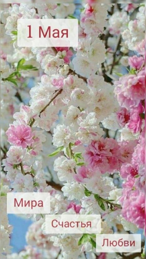 1714661250082.jpg 1714661250082.jpg